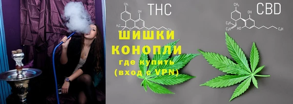 эйфоретик Арсеньев