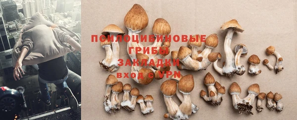 мяу мяу мука Армянск