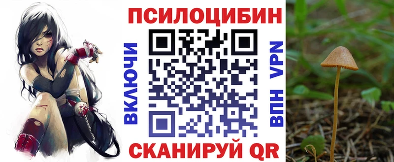 Псилоцибиновые грибы Cubensis  Новая Ладога 
